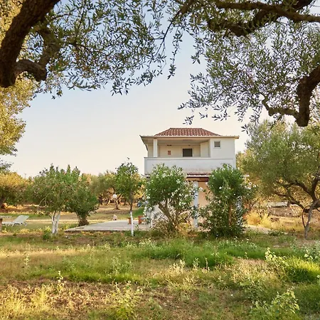 Rania / Zante Drosia Kypseli