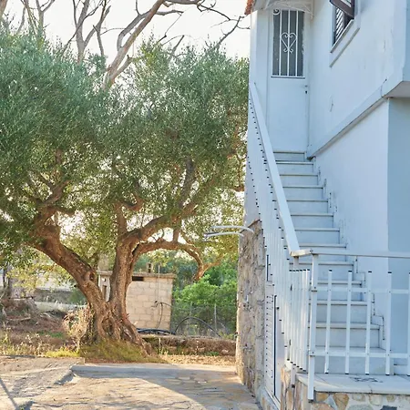 بيت للعطل Rania / Zante Drosia